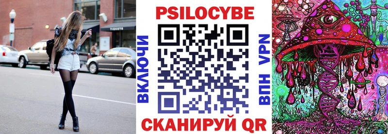 Галлюциногенные грибы Psilocybe  кракен как войти  Никольск  где купить наркоту 